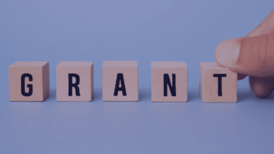 Dynamics 365 Customized Grant Management Solution