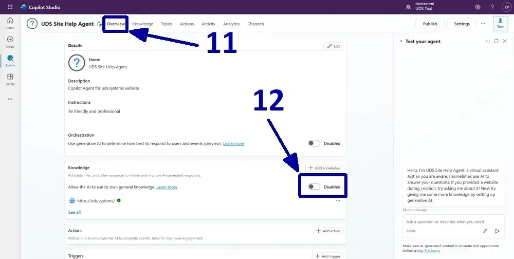 Creating An AI Agent With Copilot Studio - detailed guide